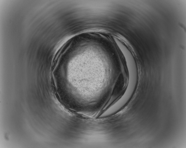 X0000099450860200805231740