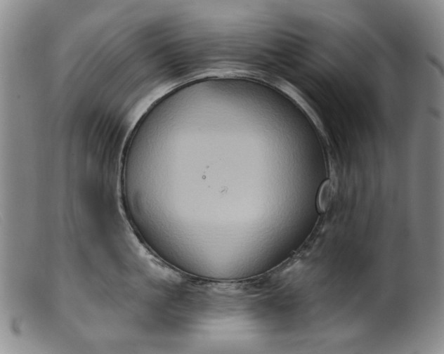 X0000099450861200805231740