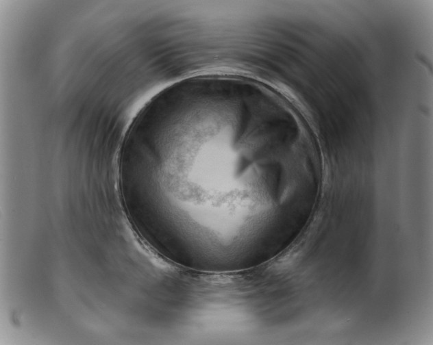 X0000099450862200805231740