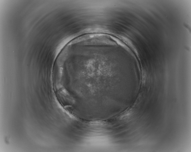 X0000099450863200805231740