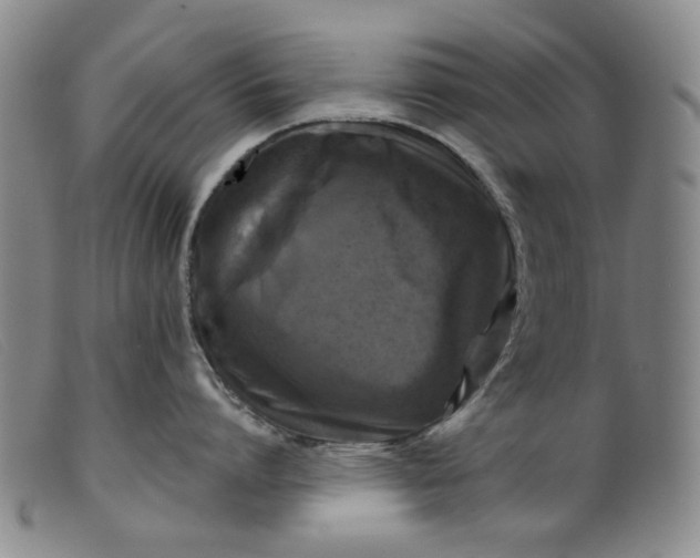 X0000099450864200805231740