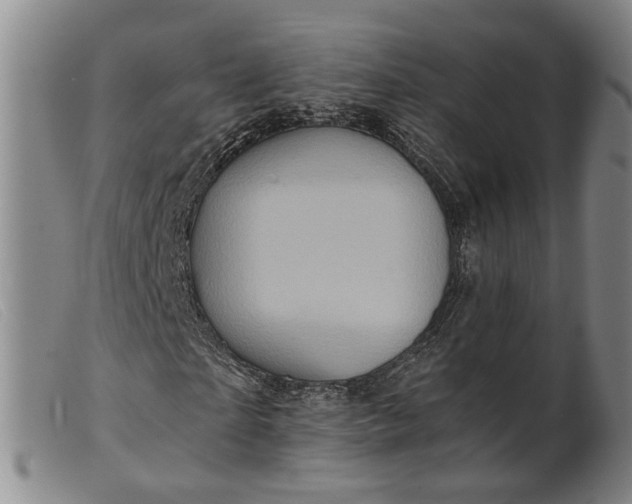 X0000099450865200805231739