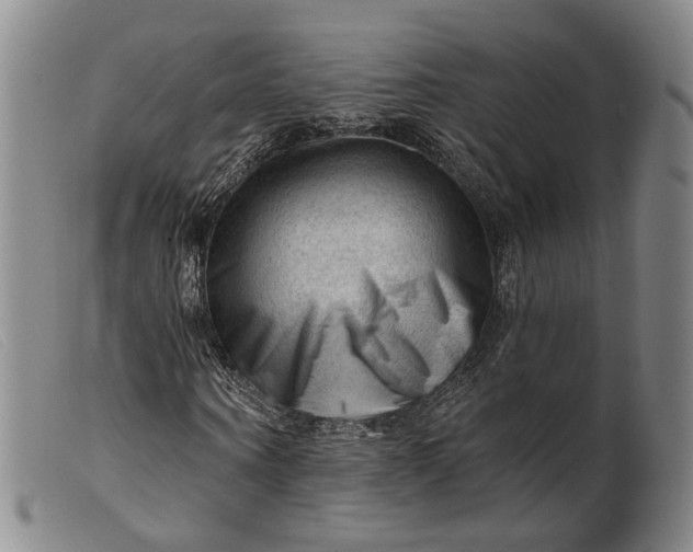 X0000099450866200805231739