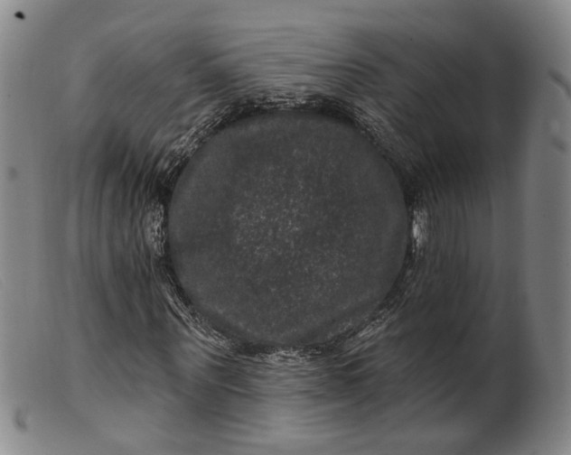 X0000099450867200805231739