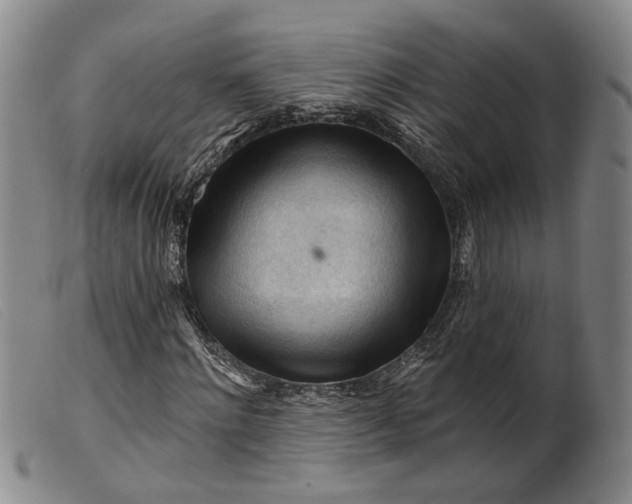 X0000099450868200805231739