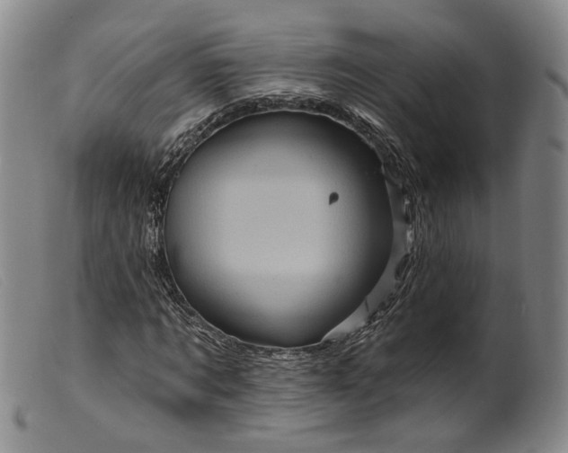 X0000099450869200805231739