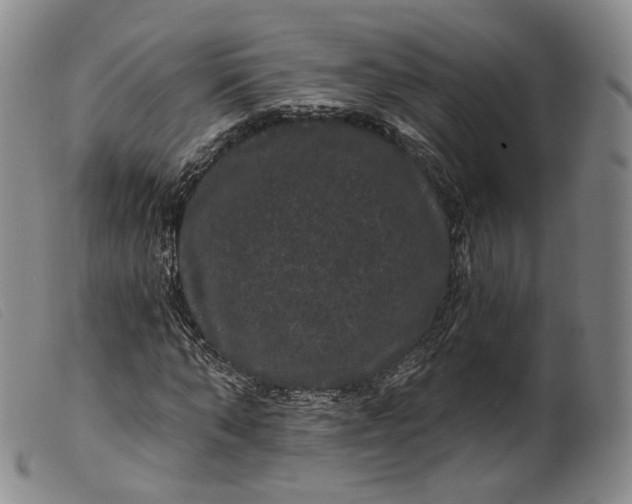 X0000099450870200805231739