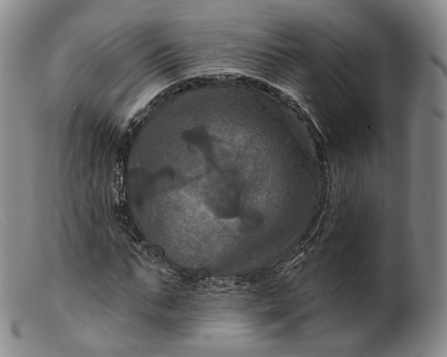 X0000099450871200805231739