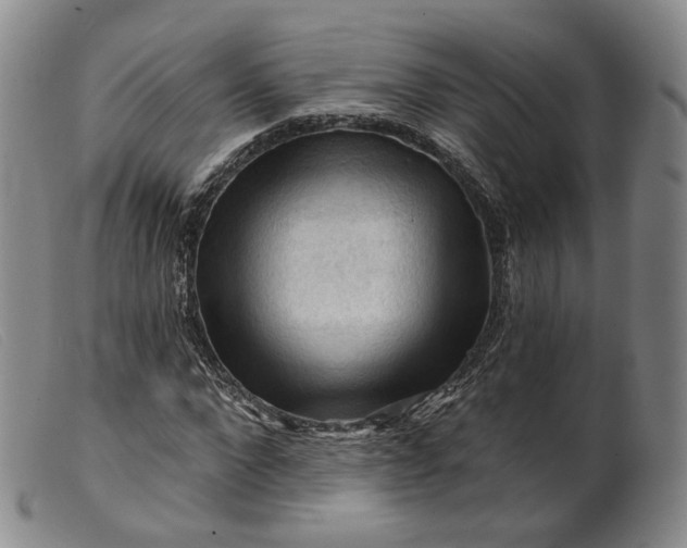 X0000099450872200805231739