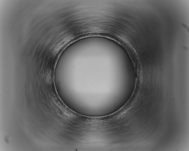 X0000099450873200805231739