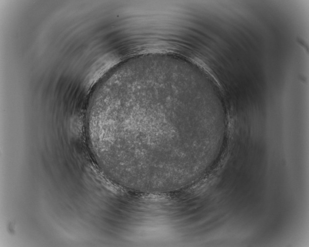 X0000099450874200805231739