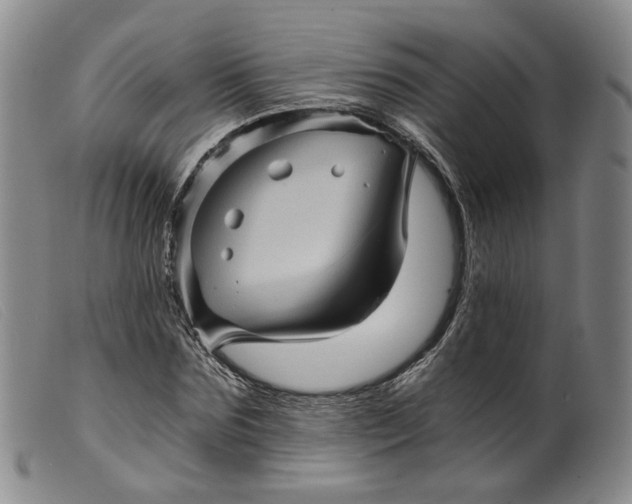 X0000099450875200805231739