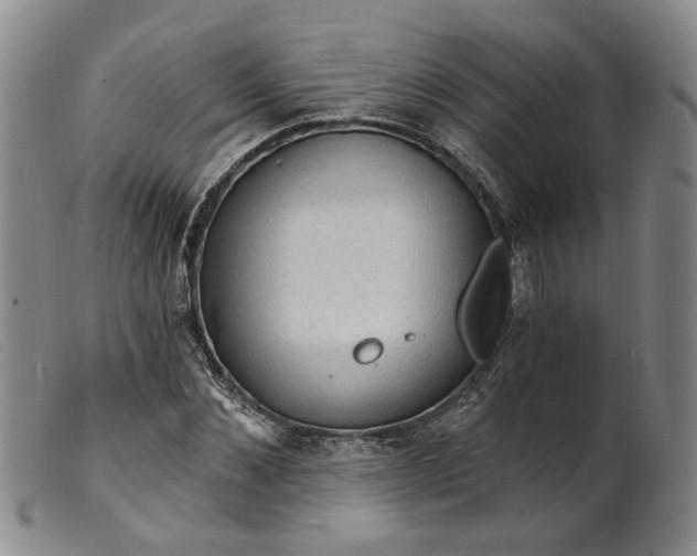 X0000099450876200805231739