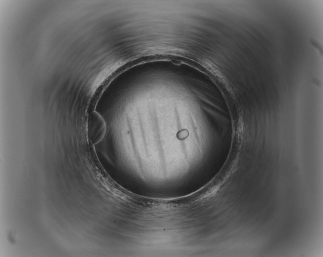 X0000099450877200805231739