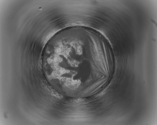 X0000099450879200805231739