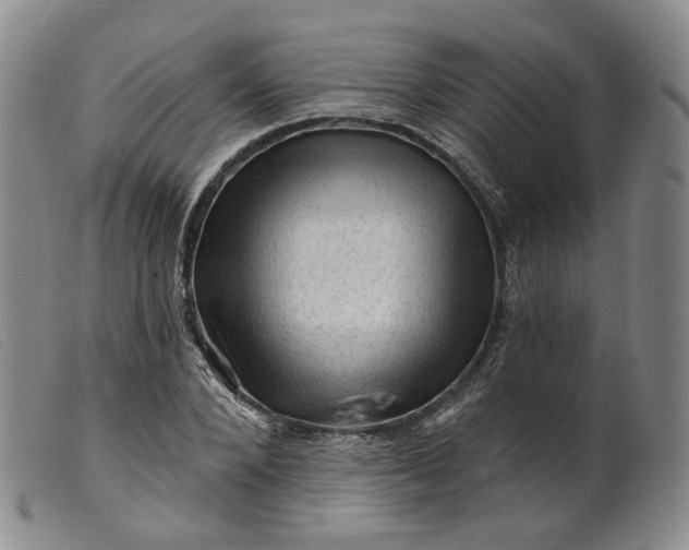 X0000099450880200805231739