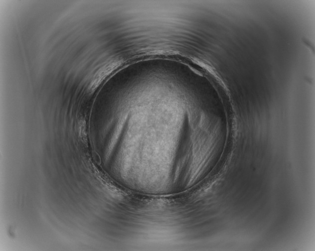 X0000099450881200805231739