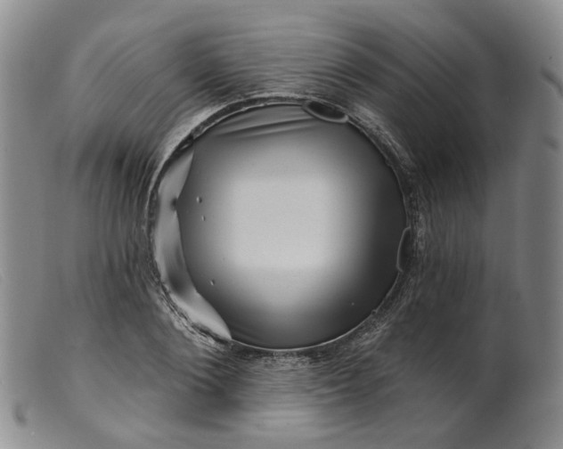 X0000099450884200805231739