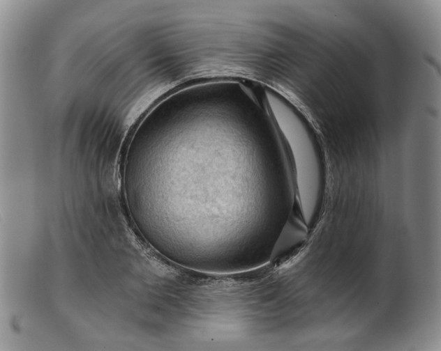 X0000099450885200805231739