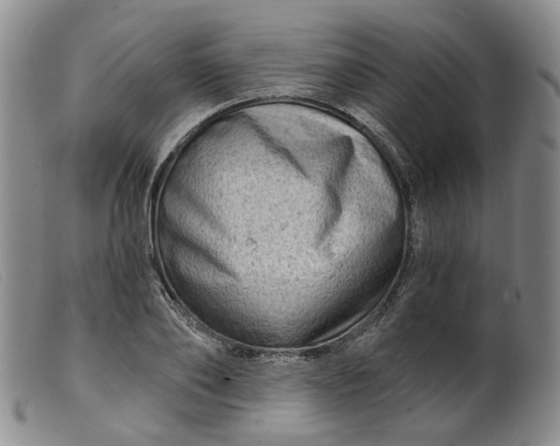 X0000099450886200805231739