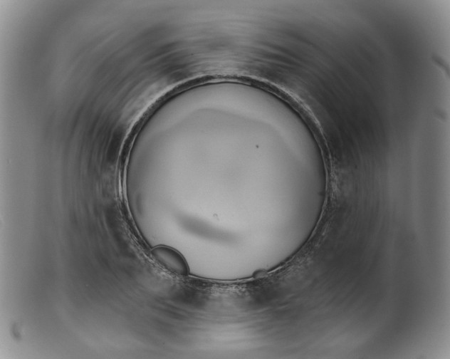 X0000099450887200805231739