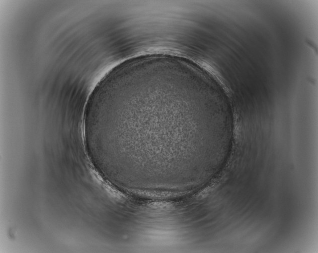 X0000099450888200805231739