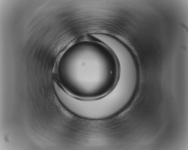 X0000099450889200805231739