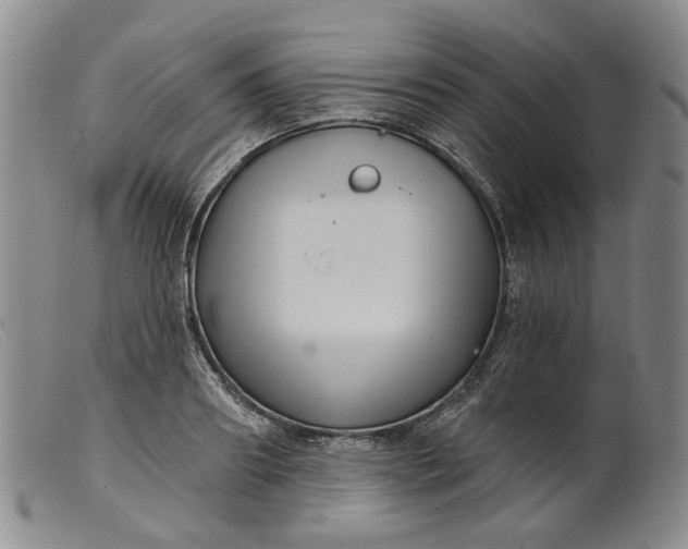 X0000099450890200805231739