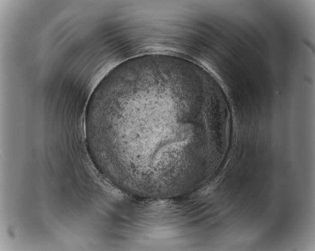 X0000099450891200805231739