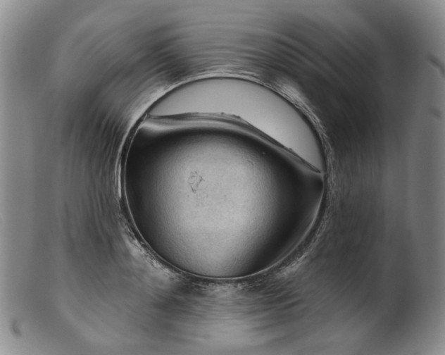 X0000099450892200805231739