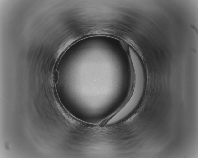 X0000099450893200805231739