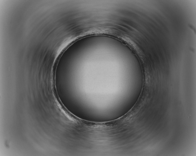 X0000099450894200805231739