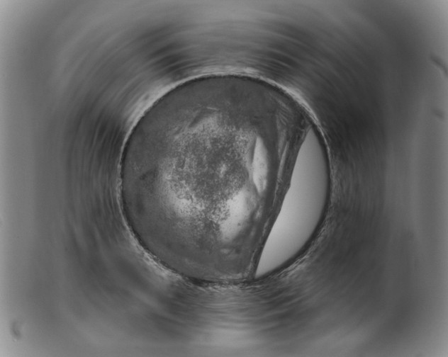 X0000099450895200805231738