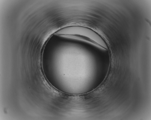 X0000099450896200805231738