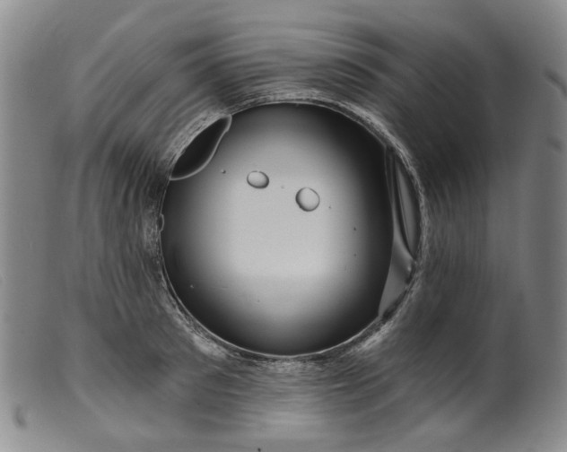 X0000099450897200805231738