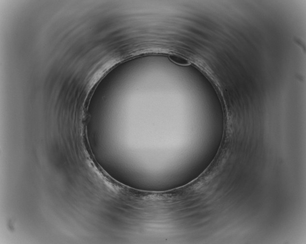 X0000099450898200805231738