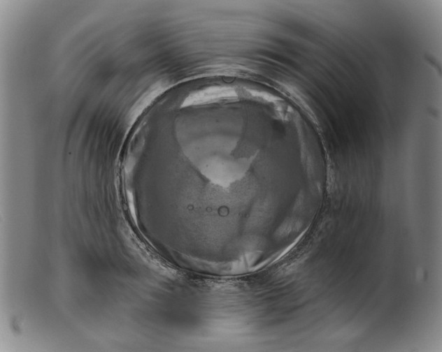 X0000099450899200805231738