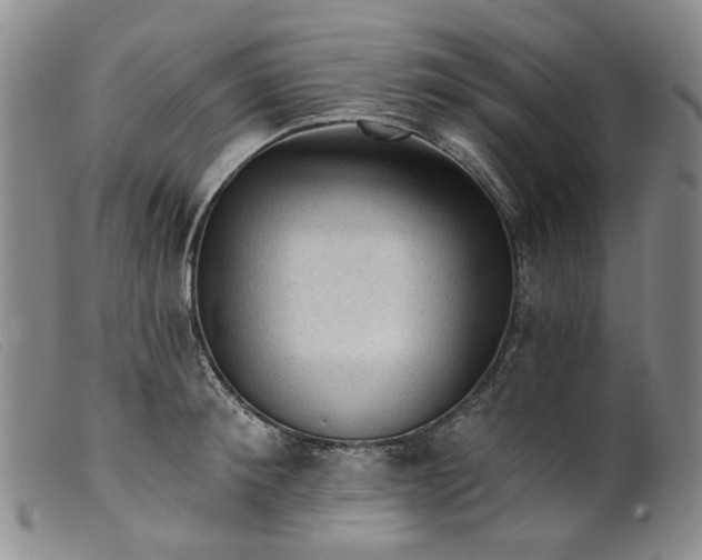 X0000099450900200805231738