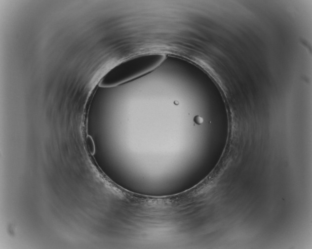 X0000099450901200805231738