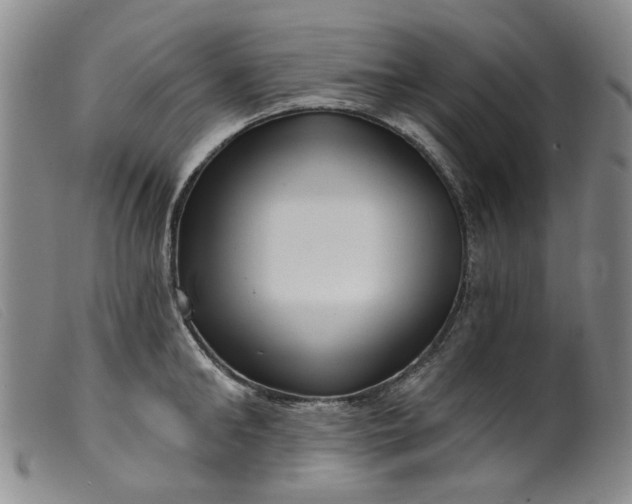 X0000099450902200805231738