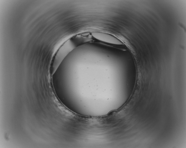 X0000099450904200805231738