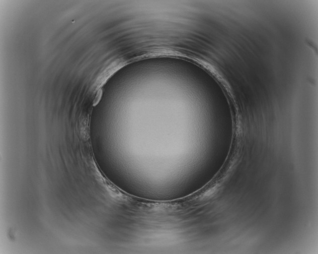 X0000099450905200805231738