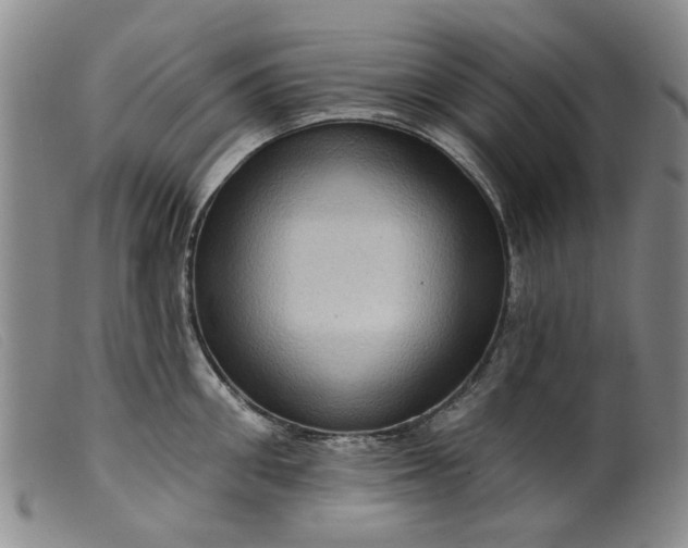 X0000099450906200805231738