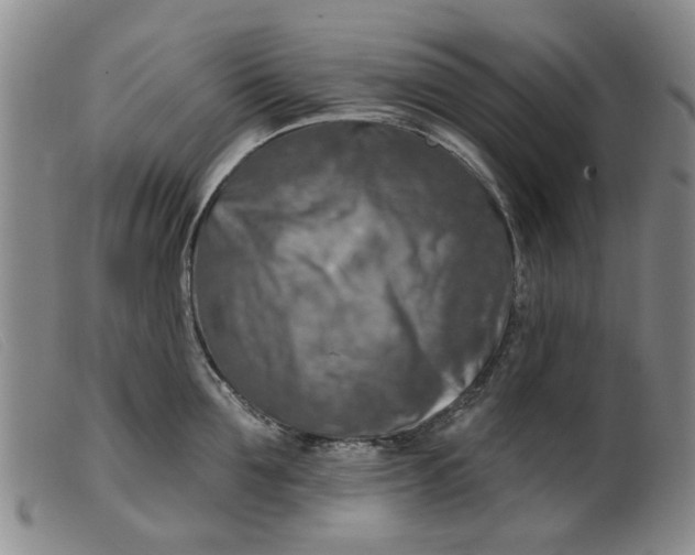 X0000099450907200805231738