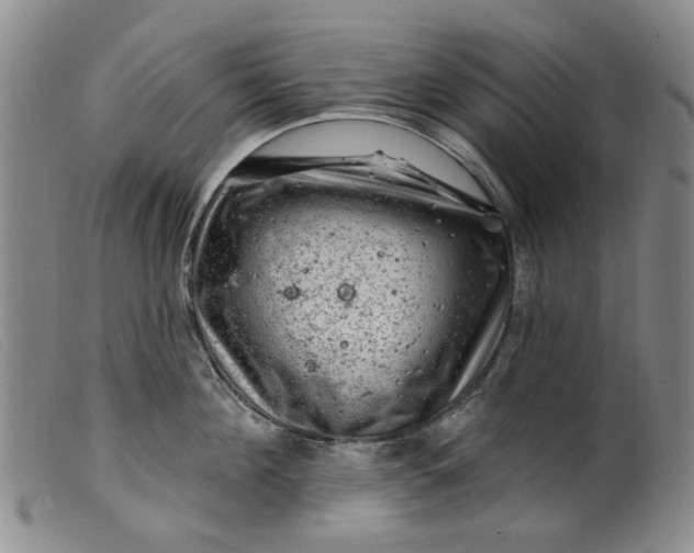 X0000099450908200805231738