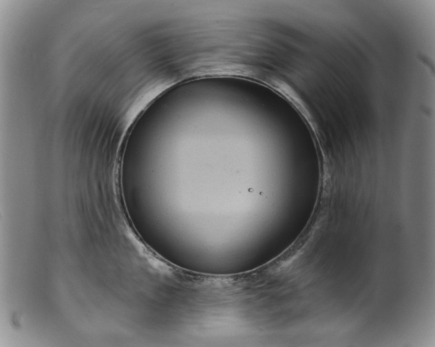 X0000099450909200805231738