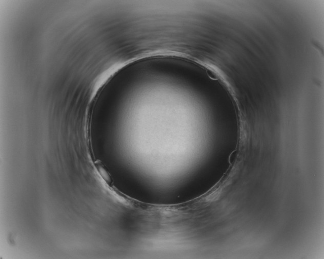 X0000099450910200805231738