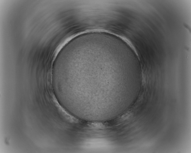 X0000099450911200805231738