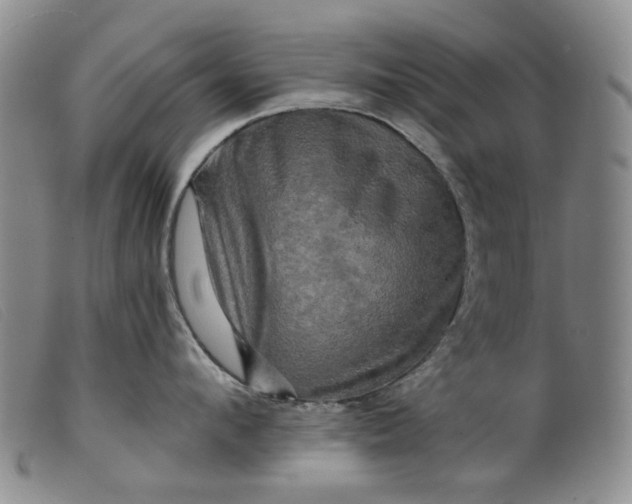 X0000099450912200805231738