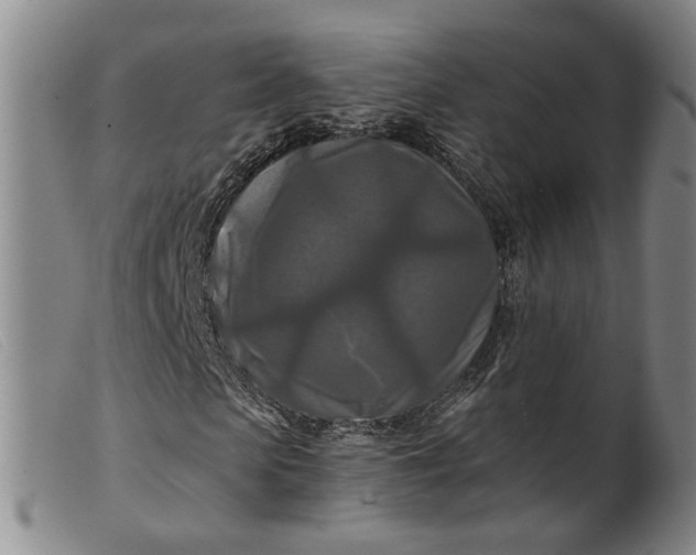 X0000099450913200805231738